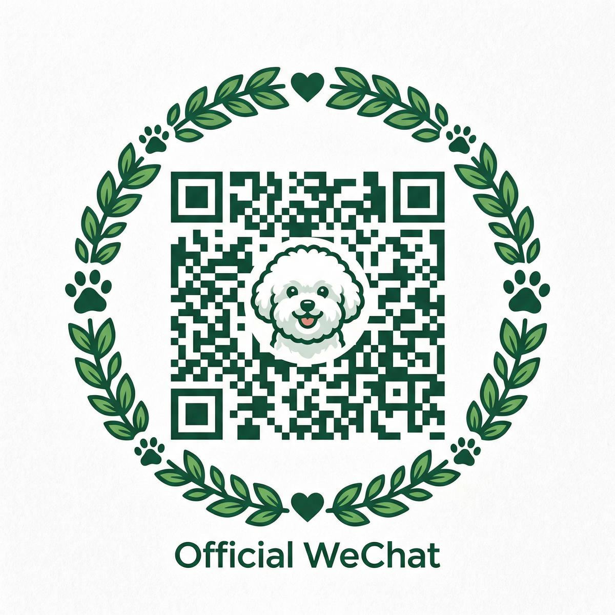 网红主播公众号二维码